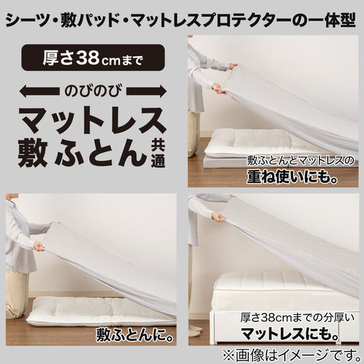 BOX PAD N COOL SP SD BL S2402