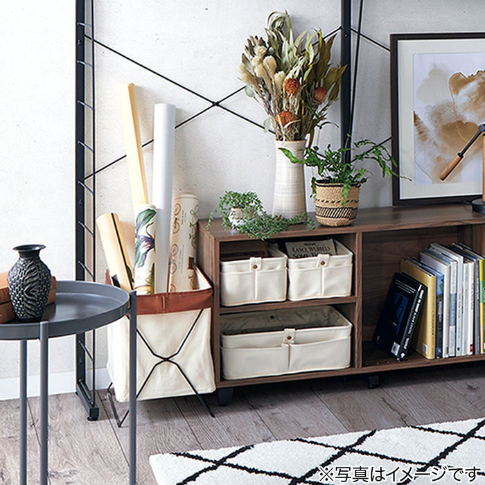 Bean Leaves in Cement