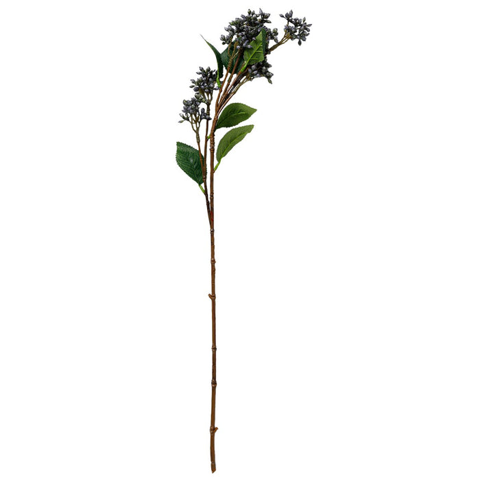 VIBURNUM TINUS SPRAY PU
