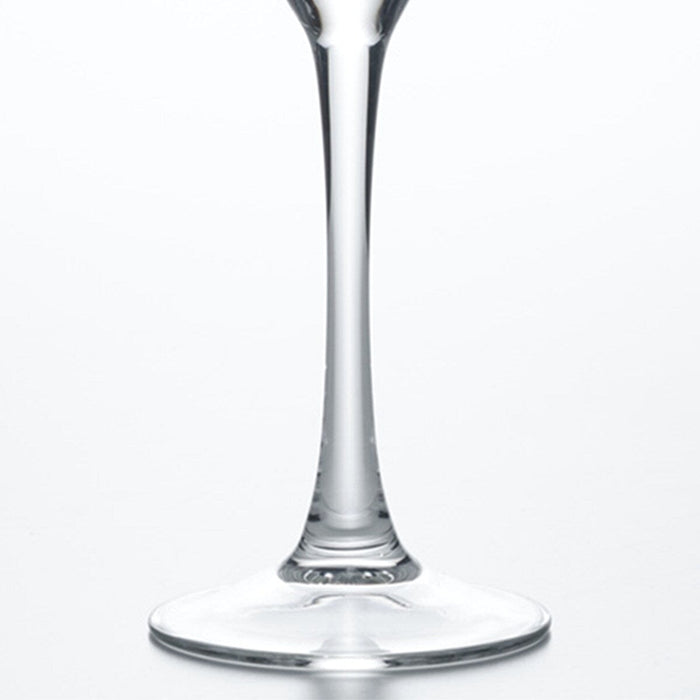 FLUTE GLASS 2P SET WW160