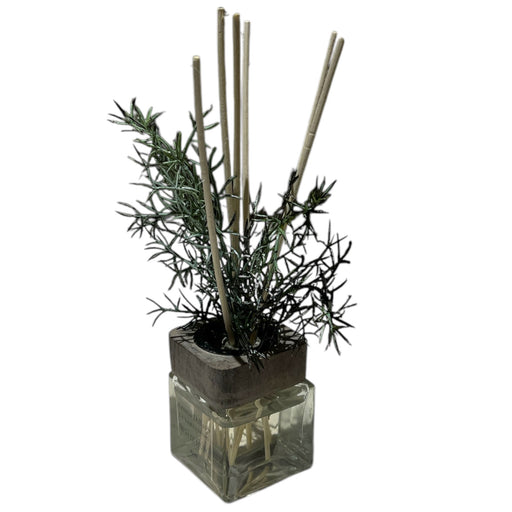 AROMA DIFFUSER 60mL WHITE MUSK DT