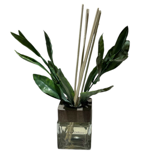 AROMA DIFFUSER 60mL LEMON GRASS DT