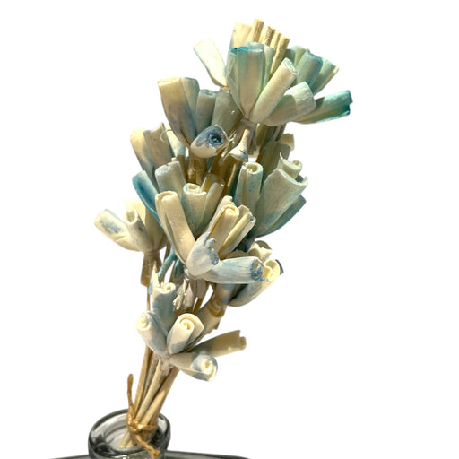 AROMA DIFFUSER IN GLASS BOTTLE REC SOLA FLOWER STICK BL DT