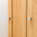 Wardrobe Quess T 100WR LBR