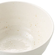 RICE BOWL IV MINOYAKI