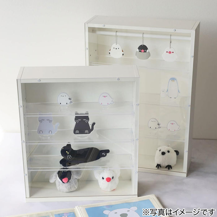 DISPLAY BOX M 40X35 WH
