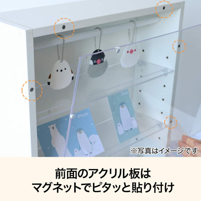 DISPLAY BOX L 50X35 WH