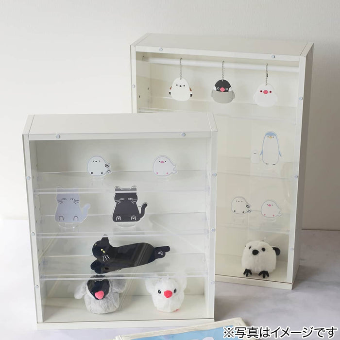 DISPLAY BOX L 50X35 WH
