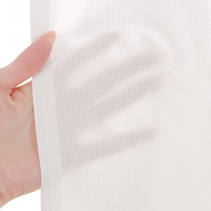 LACE CURTAIN ALLAN IN 143X223X2