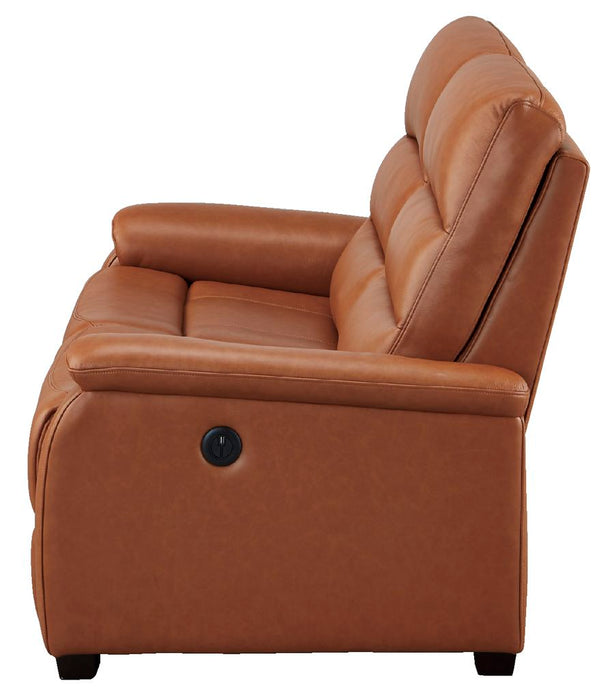 2S Electric Sofa N-Believa BR2-SCF66 TK-Leather