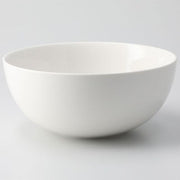 Bowl 21cm JXCNEW-02084 D21xH9