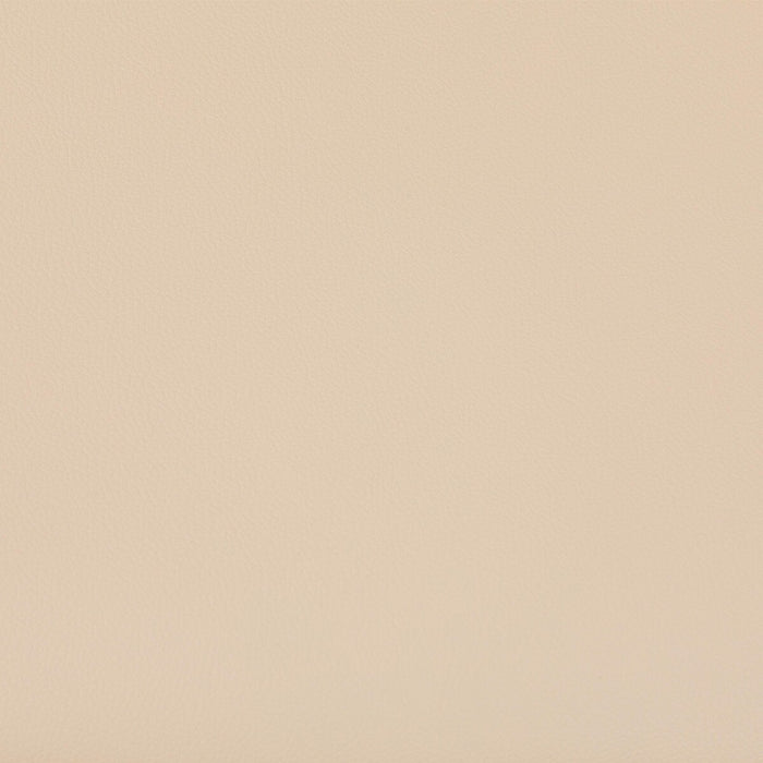 DC ARMLESS LG-010 LBR