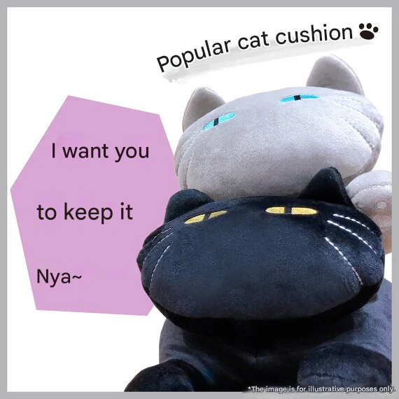 MOCHIMOCHI CUSHION CAT2