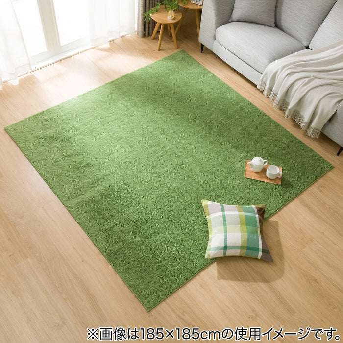 RUG N CLEAN WASH YGR 130X185