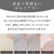 USAGIRUG3 130R LGY US02