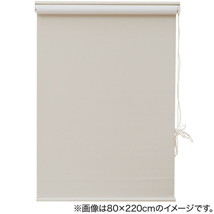 DEODORIZING SHADE ROLL SCREEN DS2 IV 180X220