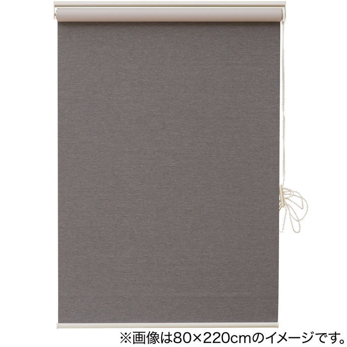 DEODORIZING SHADE ROLL SCREEN DS2 GY 80X220