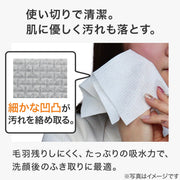 cleansing towel