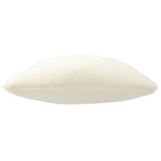 Memory Form Nude Back Cushion 3