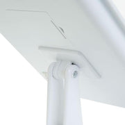 LED standing mirror