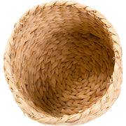 BASKET MUSCA CIRCLE