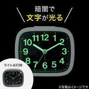 LUMINOUS ALARM CLOCK SW 007TG