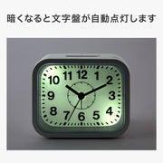 NIGHT LIGHT ALARM CLOCK SW 008TG
