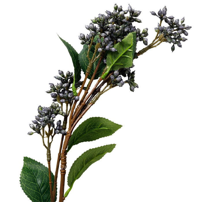 VIBURNUM TINUS SPRAY PU
