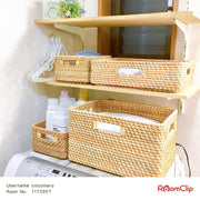 Basket Ride2 Regular NA