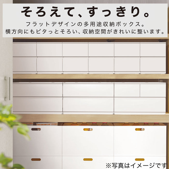 Drawer N Inbox2 Reg 2Tier_3Dr CL
