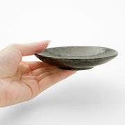 Plate Mtni-10