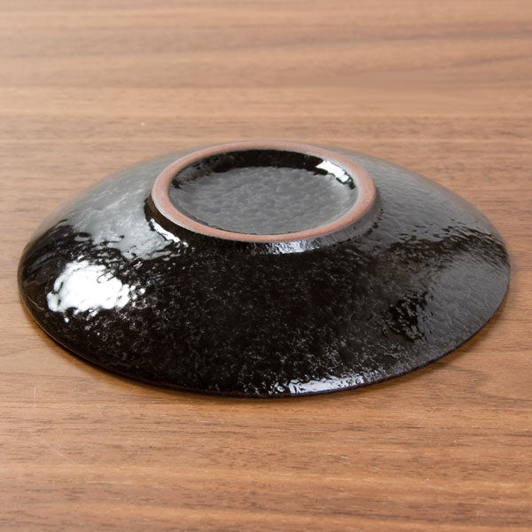 Plate Mtni-10