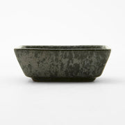 Dish Mt-33