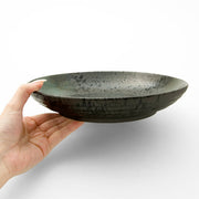 Plate L Mt-58
