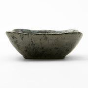 Dish Mt-56