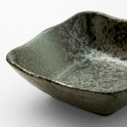 Dish Mt-56