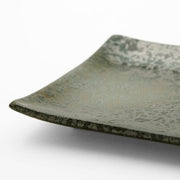 Plate Mt-48