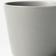 Tea Cup Karuekure Ginkaiyu D8xH6.5