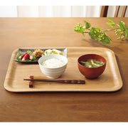 TRAY F-1004-03 NA43*33