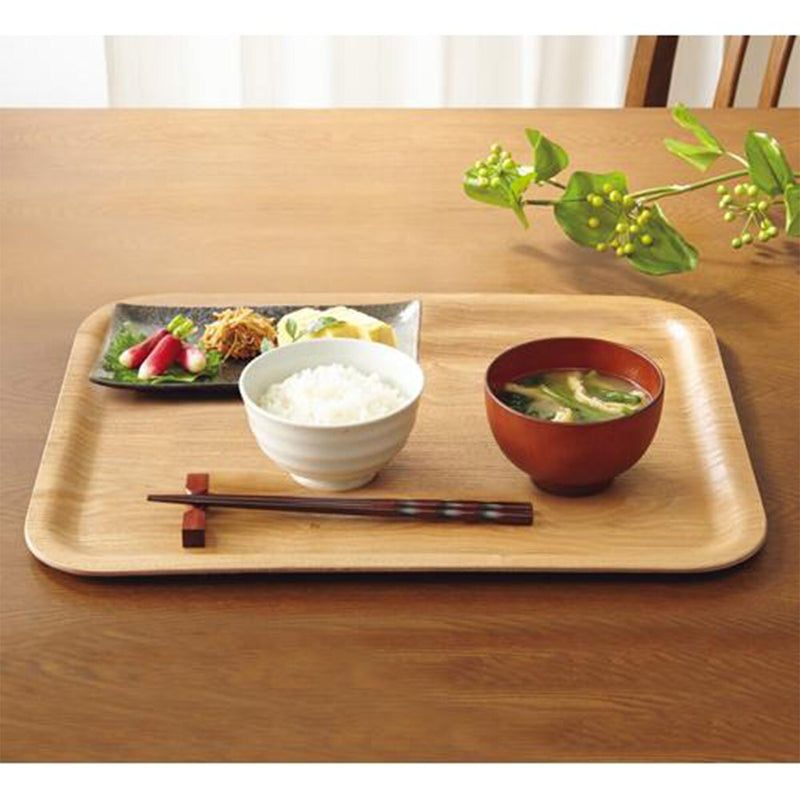 TRAY F-1004-03 NA43*33