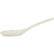 Spoon Jms2016