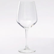 WINE GLASS 2P SET VL580