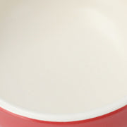 CHEESE FONDUE RE