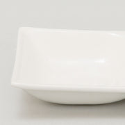 Two In One Dish Jxd123-02