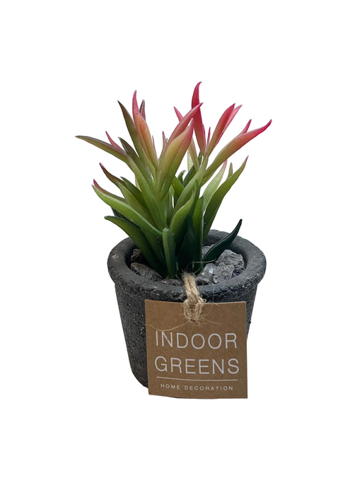 BONSAI ARRANGE ON TAPER T. POT 20JC018 DT