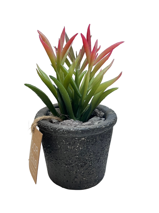 BONSAI ARRANGE ON TAPER T. POT 20JC018 DT