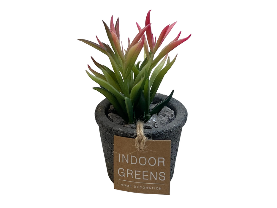 BONSAI ARRANGE ON TAPER T. POT 20JC018 DT