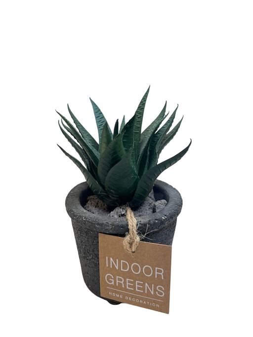 BONSAI ARRANGE ON TAPER T. POT KJX3 DT