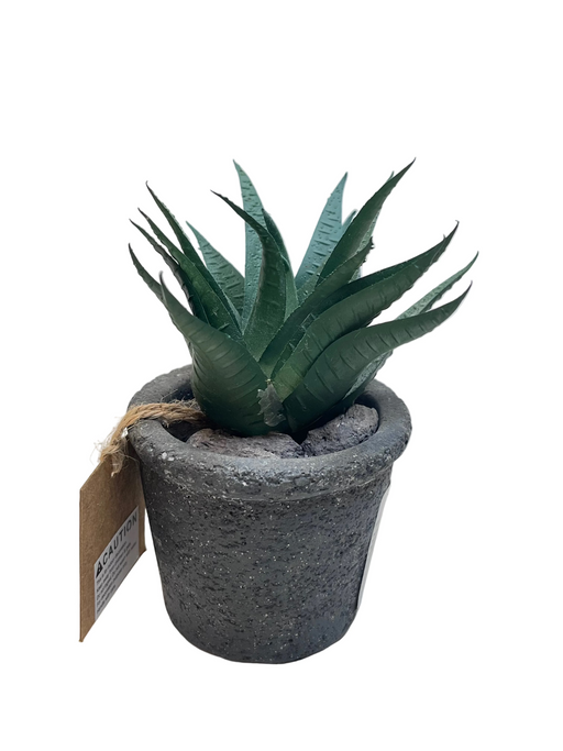 BONSAI ARRANGE ON TAPER T. POT KJX3 DT