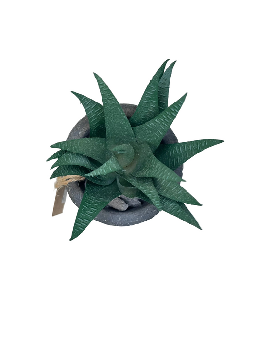 BONSAI ARRANGE ON TAPER T. POT KJX3 DT